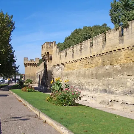 Yes Avignon